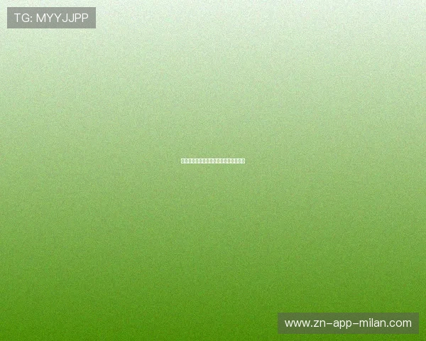 羽毛球赛事现场互动区提升观众参与体验