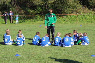 ac米兰官网-五大联赛是否提升边路轮换参与战术决策比重，五大联赛可以换5人