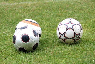 米兰体育足球-基层足球俱乐部资金短缺，基层足球俱乐部资金短缺的原因